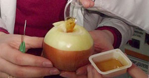 Eliminate Herpes Virus. Shockingly Simple...